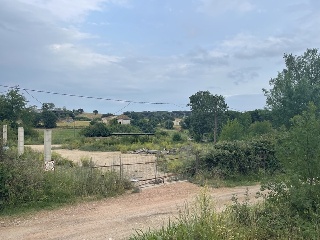 Del Suro 3