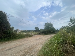 Del Suro 4