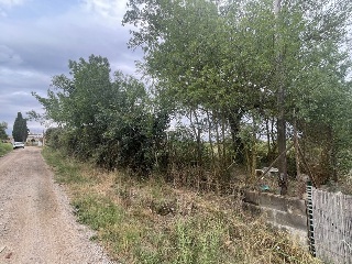 Del Suro 5