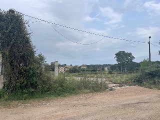 Del Suro 6