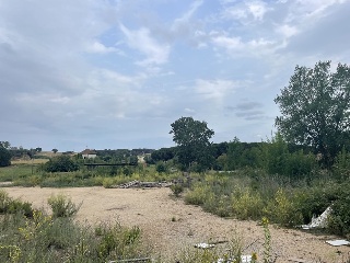Del Suro 8