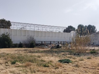 BARRANCO 4