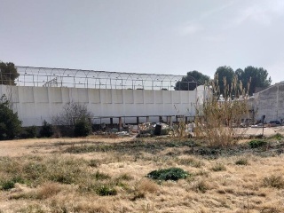 BARRANCO 5