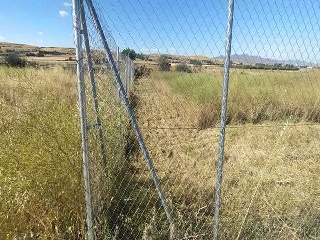 PP 13 BARTOLO 3