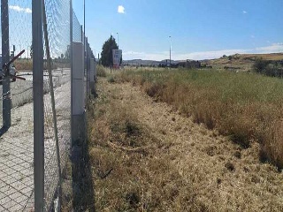 PP 13 BARTOLO 5