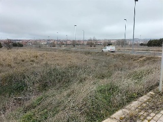 PP 13 BARTOLO 7