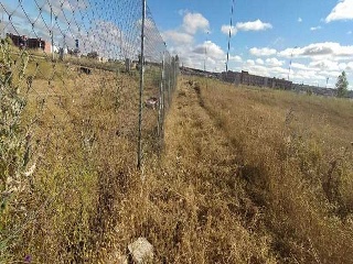 PP 13 BARTOLO 8