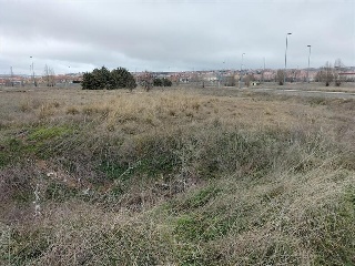 PP 13 BARTOLO 10