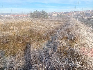 PP 13 BARTOLO 12