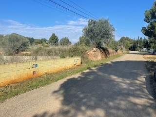 LLANOREL 2 3