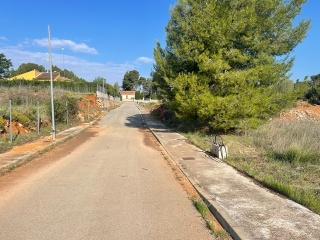 LLANOREL 2 8