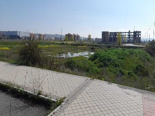 AR 3/3 ROMPIDAS VIEJAS SER 02-B 8