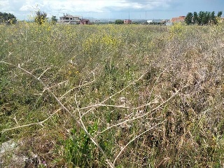 AR 3/3 ROMPIDAS VIEJAS SER 02-B 22
