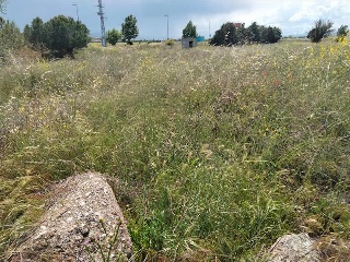AR 3/3 ROMPIDAS VIEJAS SER 02-B 23