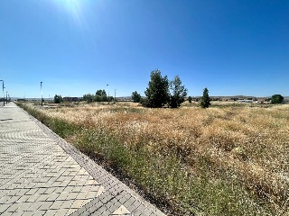 JUAN AURELIO SANCHEZ TADEO 15