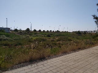 HOLANDA 3