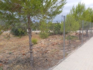 LES PARRES 2