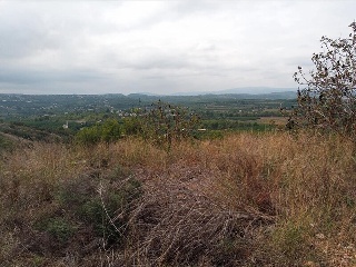 ISLAS COLUMBRETES ( URB. CUMBRES DE CALICANTO 5