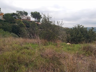 ISLAS COLUMBRETES ( URB. CUMBRES DE CALICANTO 8