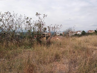 ISLAS COLUMBRETES ( URB. CUMBRES DE CALICANTO 9