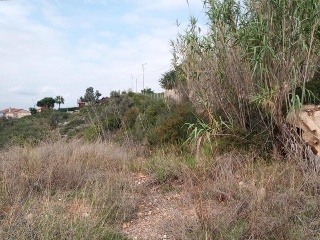 ISLAS COLUMBRETES ( URB. CUMBRES DE CALICANTO 11