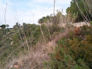 ISLAS COLUMBRETES ( URB. CUMBRES DE CALICANTO 12