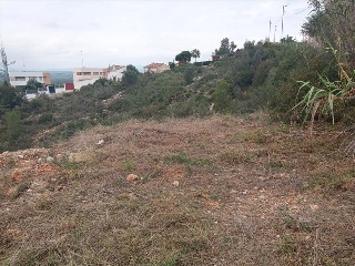 ISLAS COLUMBRETES ( URB. CUMBRES DE CALICANTO 13