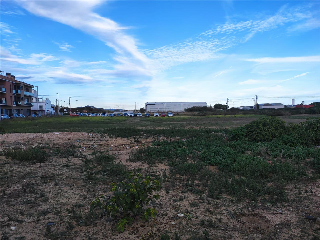 PLA 6