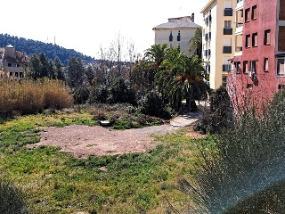 DELICIAS 3