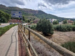 DELICIAS 6