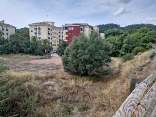 DELICIAS 7