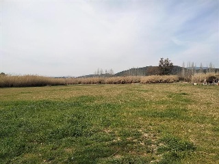 Pisos banco Palamós