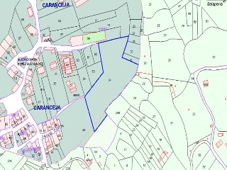 CARANCEJA 1033 SUELO 20