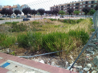 JOSE MARIA DE LA VEGA 11