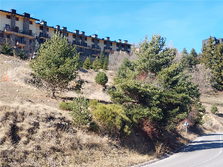 ALP-MOLINA P-2 9