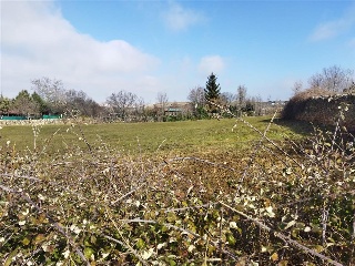 LAS ANGUSTIAS (PARCELA 12) 9