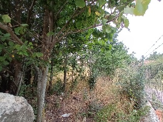 LAS ANGUSTIAS (PARCELA 12) 10
