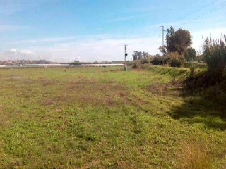 LITORAL ISLA ESTE POLIGONO 6 PARCELA 33 CARRERAS 2