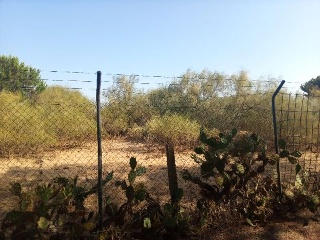 LITORAL ISLA ESTE POLIGONO 6 PARCELA 33 CARRERAS 4