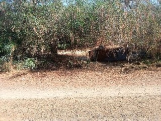 LITORAL ISLA ESTE POLIGONO 6 PARCELA 33 CARRERAS 6