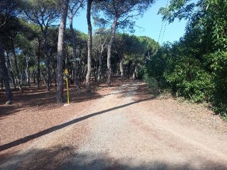 LITORAL ISLA ESTE POLIGONO 6 PARCELA 33 CARRERAS 9