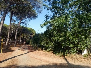 LITORAL ISLA ESTE POLIGONO 6 PARCELA 33 CARRERAS 10