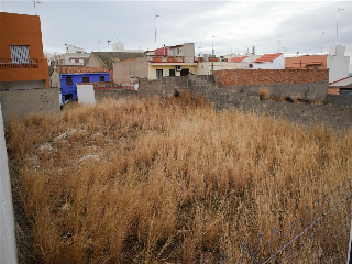 LA LLOSA 5