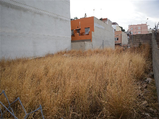 LA LLOSA 6