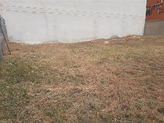 LA LLOSA 7