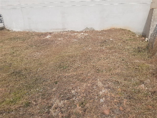 LA LLOSA 8