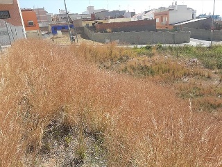LLOSA 5