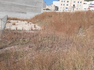 LLOSA 6