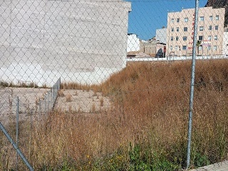 LLOSA 7