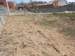 LLOSA 8